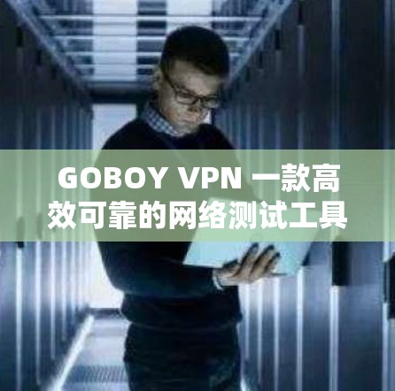 GOBOY VPN 一款高效可靠的网络测试工具