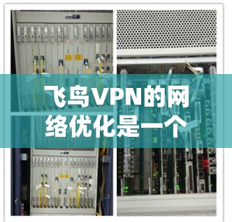 飞鸟VPN的网络优化是一个系统性的过程，涉及多个步骤和方法，旨在确保网络的安全性和效率。以下是一些关键的网络优化方法和步骤，帮助您提升飞鸟VPN的网络性能