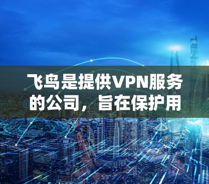 飞鸟是提供VPN服务的公司，旨在保护用户的数据和流量免受追踪。以下是对飞鸟功能的详细总结