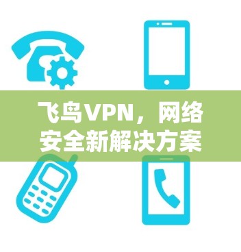 飞鸟VPN，网络安全新解决方案