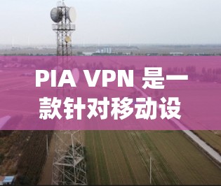 PIA VPN 是一款针对移动设备设计的VPN解决方案，基于 Palm OS 操作系统，旨在提供移动设备上的加密、多因素认证和 PWA 功能，以满足用户在移动设备上的上网需求。以下是对其功能的评测