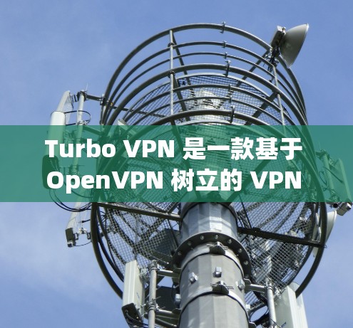 Turbo VPN 是一款基于 OpenVPN 树立的 VPN 工具，以其安全、高效和灵活的特点在网络环境中表现出色。以下是对 Turbo VPN 功能的详细介绍