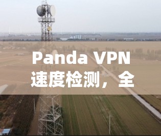 Panda VPN 速度检测，全面解析您的VPN连接速度