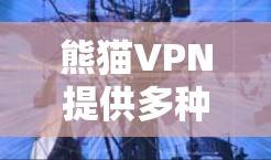 熊猫VPN提供多种手机版本，以适应不同用户的需求。以下是关于熊猫VPN手机版本的详细介绍