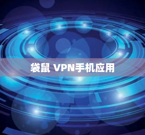 袋鼠 VPN手机应用