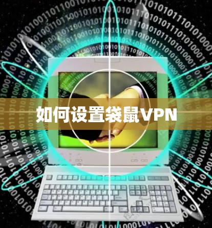 如何设置袋鼠VPN