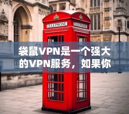 袋鼠VPN是一个强大的VPN服务，如果你需要定期更新，以下是一个详细且清晰的步骤指南，帮助你顺利完成袋鼠VPN的更新