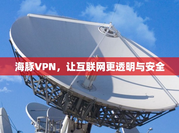 海豚VPN，让互联网更透明与安全