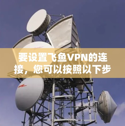 要设置飞鱼VPN的连接，您可以按照以下步骤操作
