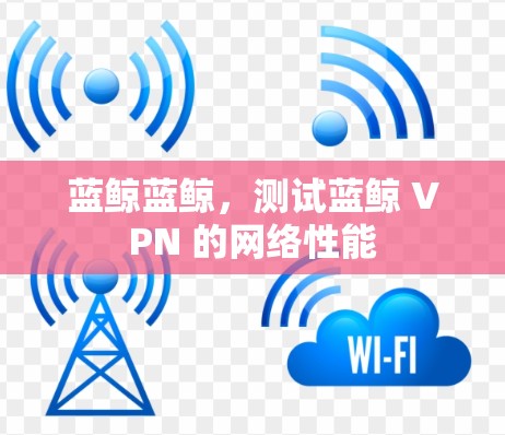 蓝鲸蓝鲸，测试蓝鲸 VPN 的网络性能