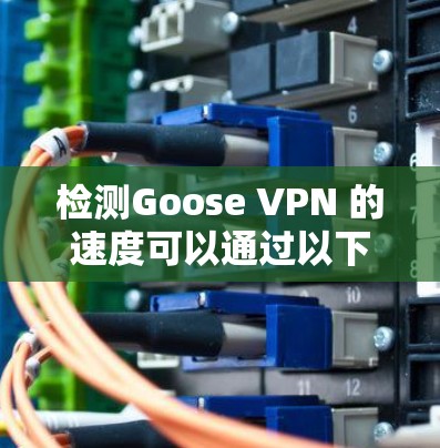 检测Goose VPN 的速度可以通过以下方法实现