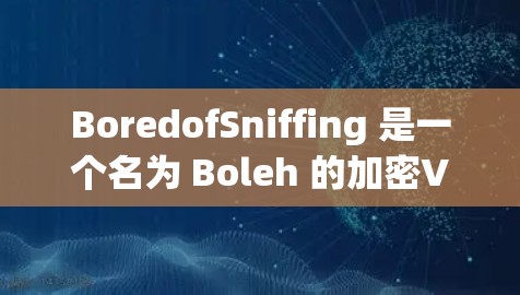 BoredofSniffing 是一个名为 Boleh 的加密VPN工具，提供了多种功能选项，适合需要安全、隐私和加密连接的用户。以下是其功能分析