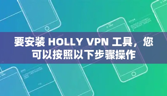要安装 HOLLY VPN 工具，您可以按照以下步骤操作