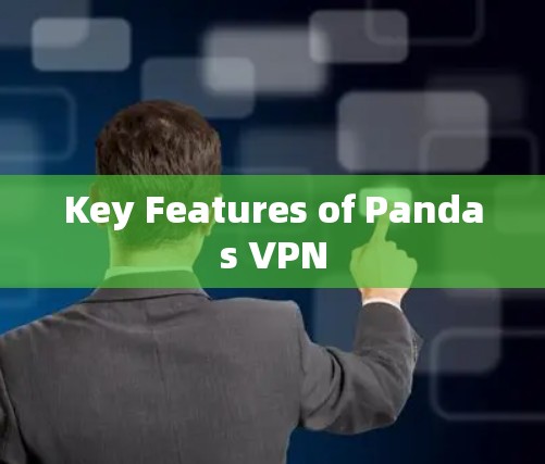 Key Features of Pandas VPN