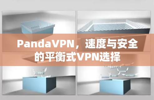 PandaVPN，速度与安全的平衡式VPN选择