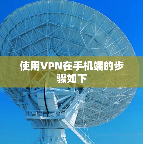 使用VPN在手机端的步骤如下