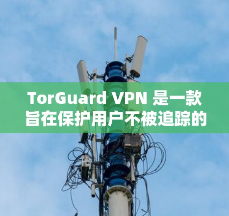 TorGuard VPN 是一款旨在保护用户不被追踪的VPN服务。如果你有需要，可以下载 TorGuard VPN 软件并进行如下操作