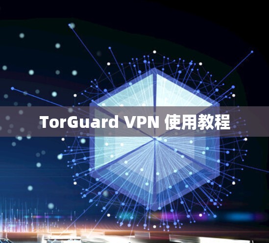 TorGuard VPN 使用教程