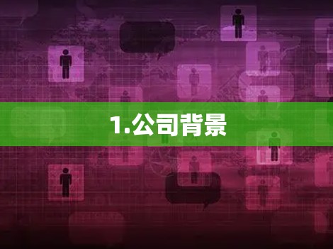 1.公司背景