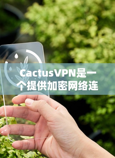 CactusVPN是一个提供加密网络连接的软件，旨在提供安全、可靠和高效的数据传输服务。以下是关于如何下载CactusVPN的步骤和信息