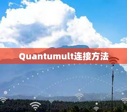 Quantumult连接方法