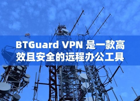 BTGuard VPN 是一款高效且安全的远程办公工具，以其卓越的速度和多样的功能著称。以下是对其体验的详细分析