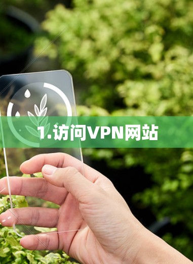 1.访问VPN网站