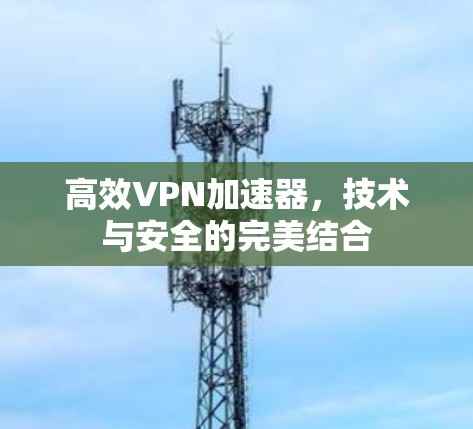 高效VPN加速器，技术与安全的完美结合