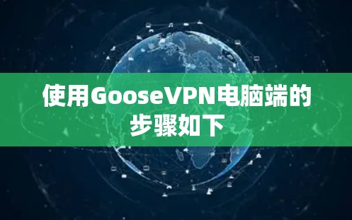 使用GooseVPN电脑端的步骤如下