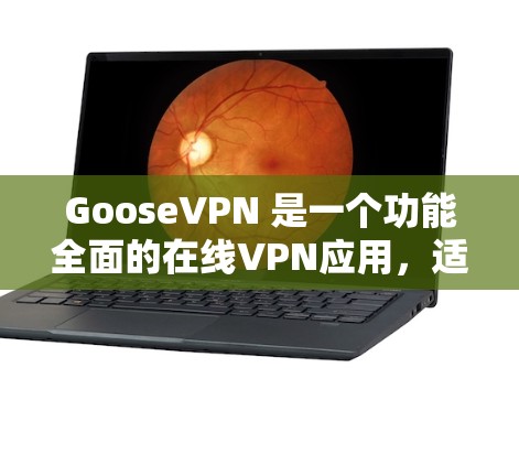 GooseVPN 是一个功能全面的在线VPN应用，适合需要在线VPN服务的用户。以下是使用 GooseVPN 的步骤和注意事项