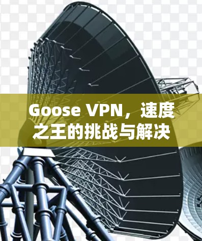Goose VPN，速度之王的挑战与解决方案