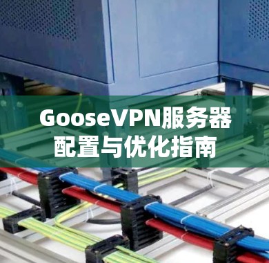 GooseVPN服务器配置与优化指南