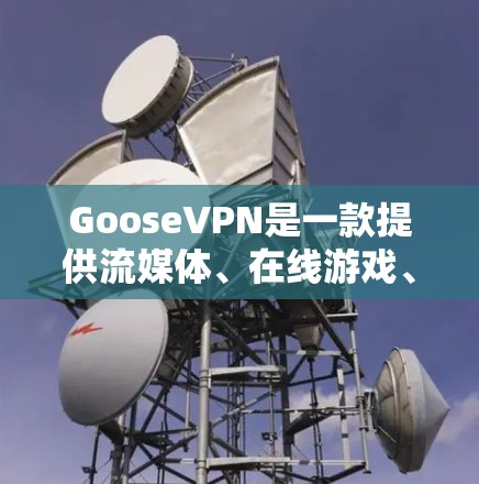 GooseVPN是一款提供流媒体、在线游戏、视频会议等高级功能的VPN服务，用户可以根据自己的需求选择适合的选项。以下是对GooseVPN体验的评测