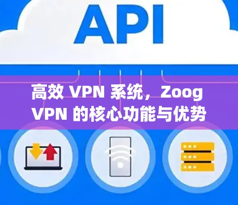 高效 VPN 系统，Zoog VPN 的核心功能与优势