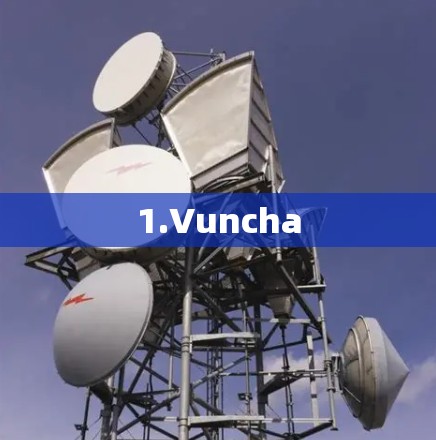 1.Vuncha