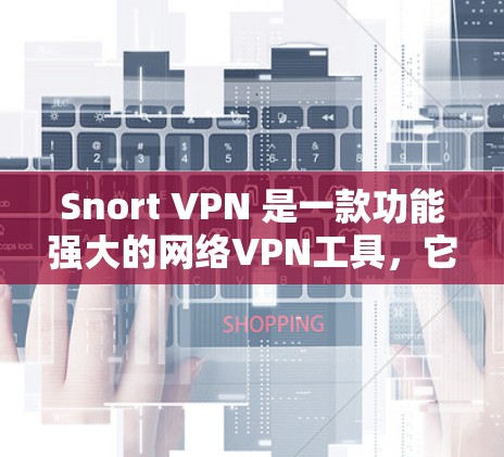 Snort VPN 是一款功能强大的网络VPN工具，它通过配置和日志分析来自动过滤和防御网络流量。以下是关于 Snort VPN 功能的详细分析