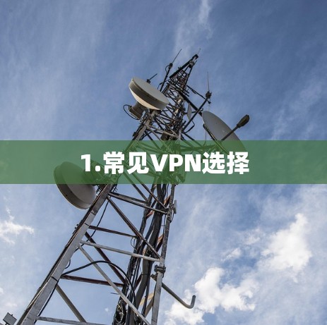1.常见VPN选择