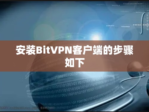 安装BitVPN客户端的步骤如下