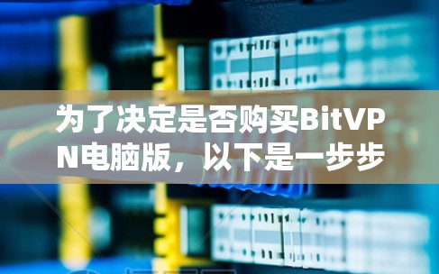 为了决定是否购买BitVPN电脑版，以下是一步步的建议