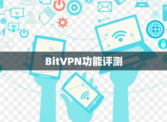 BitVPN功能评测