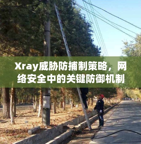 Xray威胁防捕制策略，网络安全中的关键防御机制