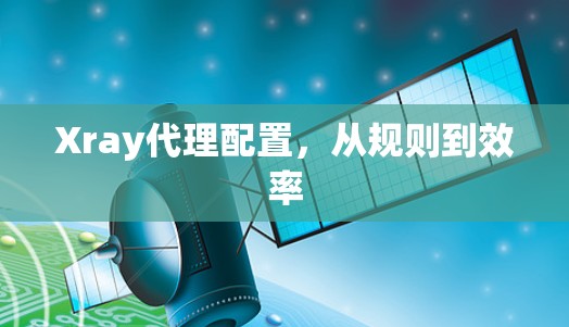 Xray代理配置，从规则到效率