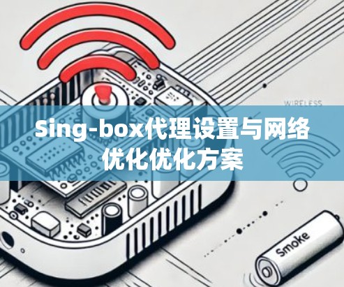 Sing-box代理设置与网络优化优化方案