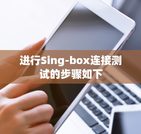 进行Sing-box连接测试的步骤如下