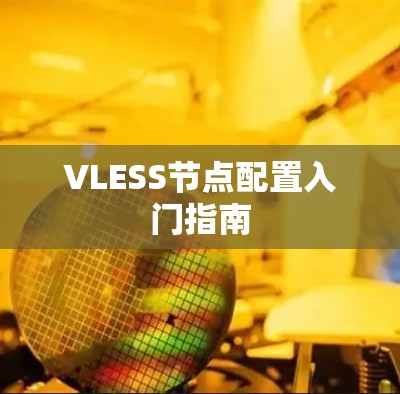VLESS节点配置入门指南