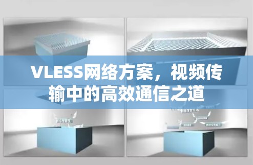 VLESS网络方案，视频传输中的高效通信之道