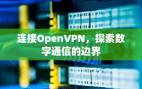连接OpenVPN，探索数字通信的边界