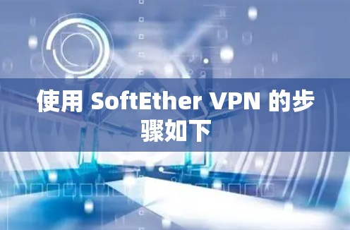 使用 SoftEther VPN 的步骤如下