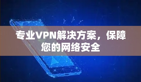 专业VPN解决方案，保障您的网络安全