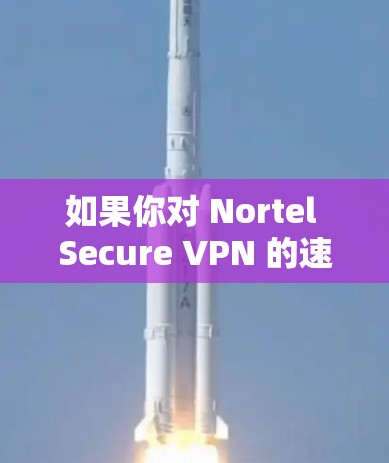 如果你对 Nortel Secure VPN 的速度感兴趣，可以参考以下内容
